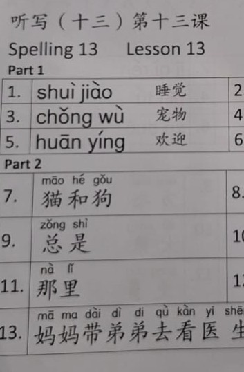 A printed Chinese tingxie spelling list used for practice
